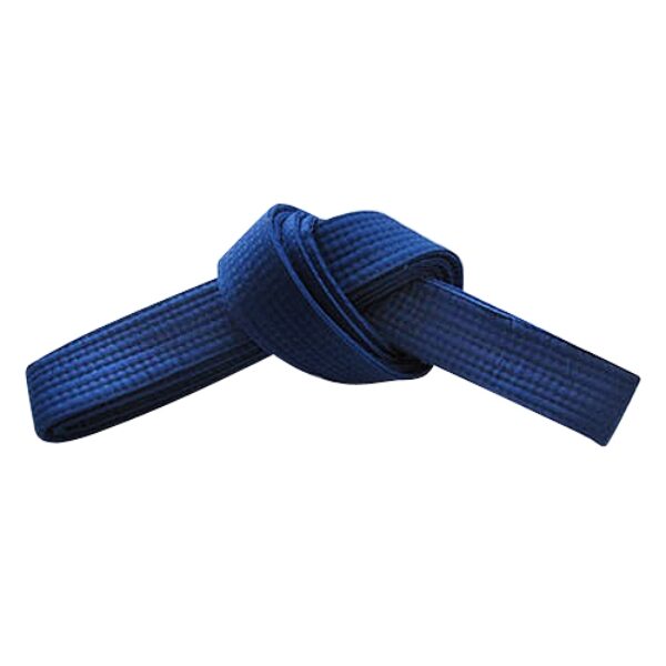 FT-313 Belt