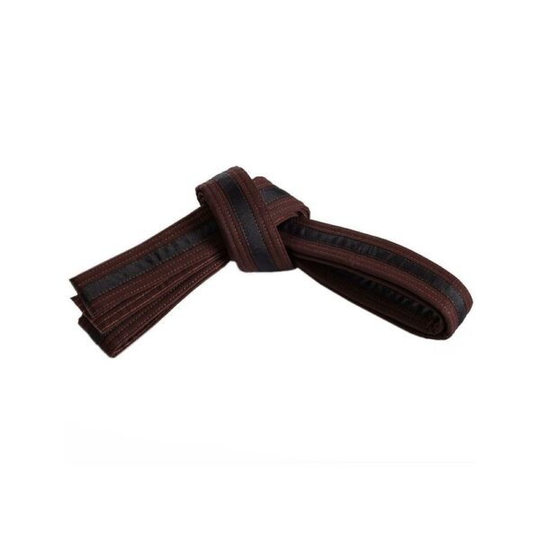 FT-318 Belt