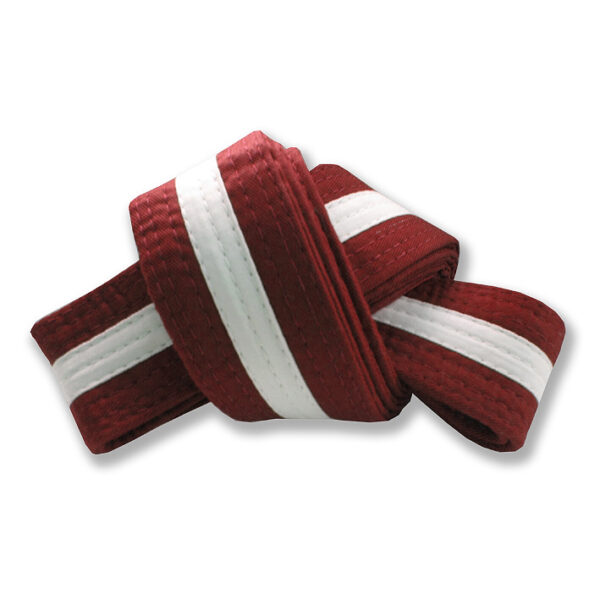 FT-316 Belt