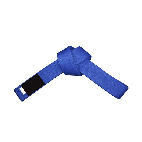 FT-320 Belt