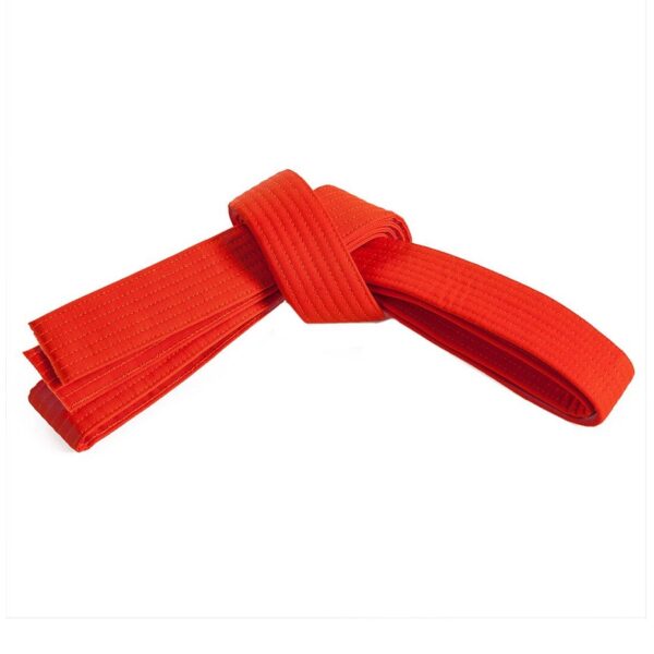 FT-315 Belt.