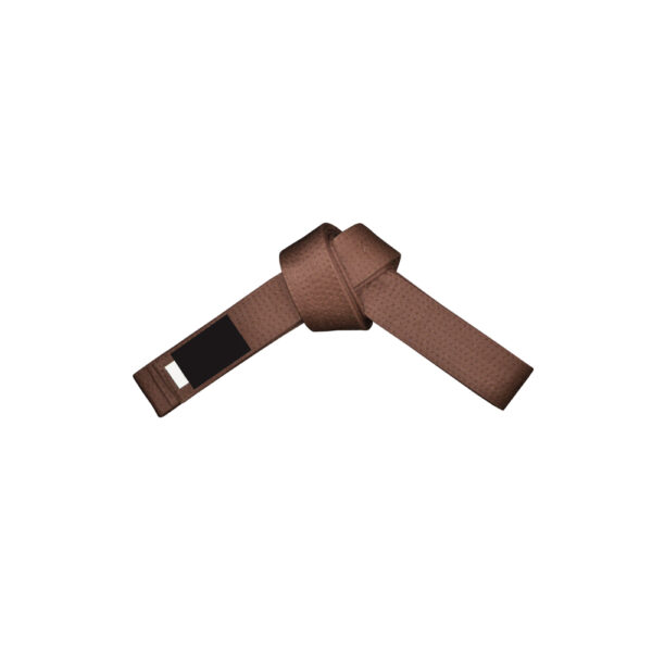 FT-319 Belt