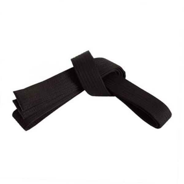 FT-317 Belt