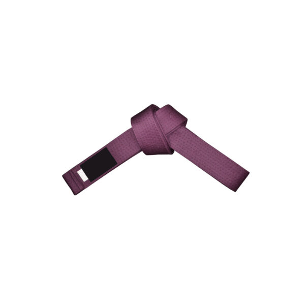 FT-319 Belt