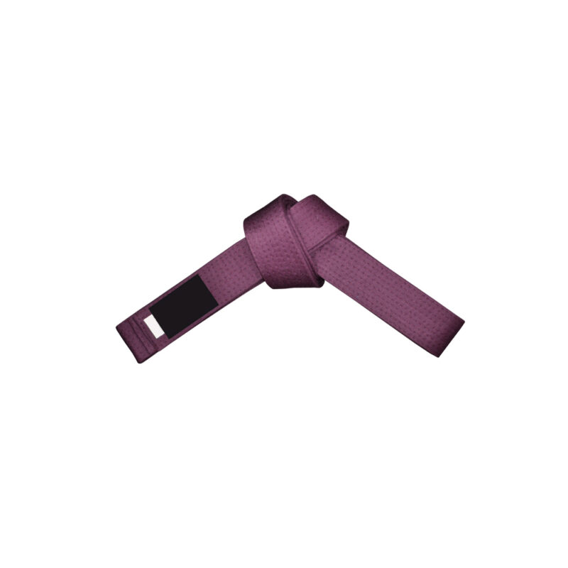 FT-319 Belt - Image 2
