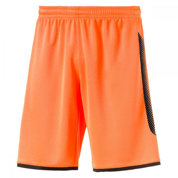 FT-238 Men Workout Shorts