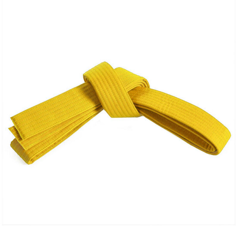 FT-315 Belt. - Image 2