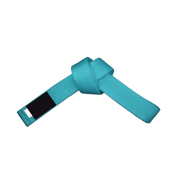 FT-320 Belt